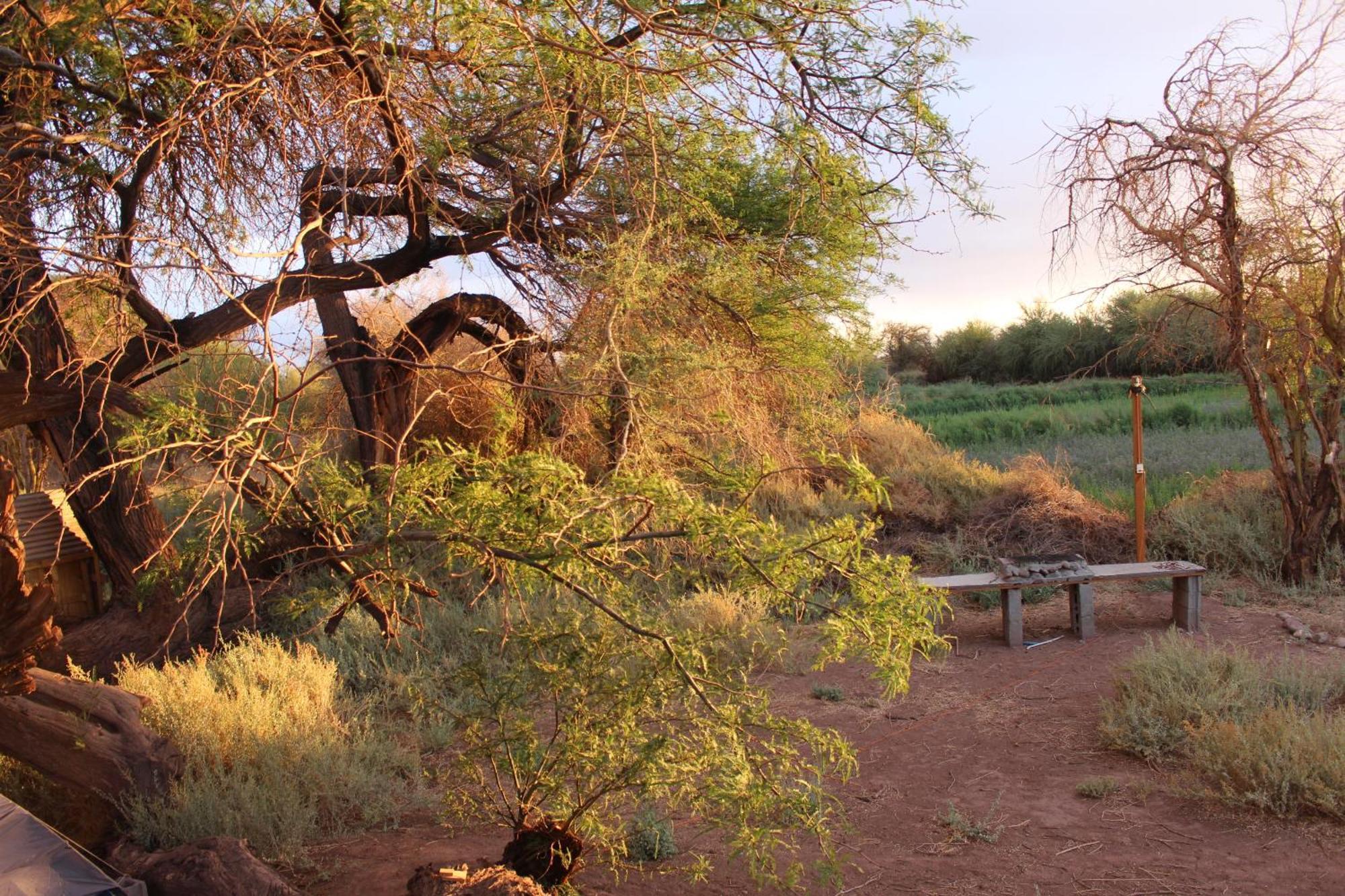 Cabana Nachitor San Pedro de Atacama Dış mekan fotoğraf