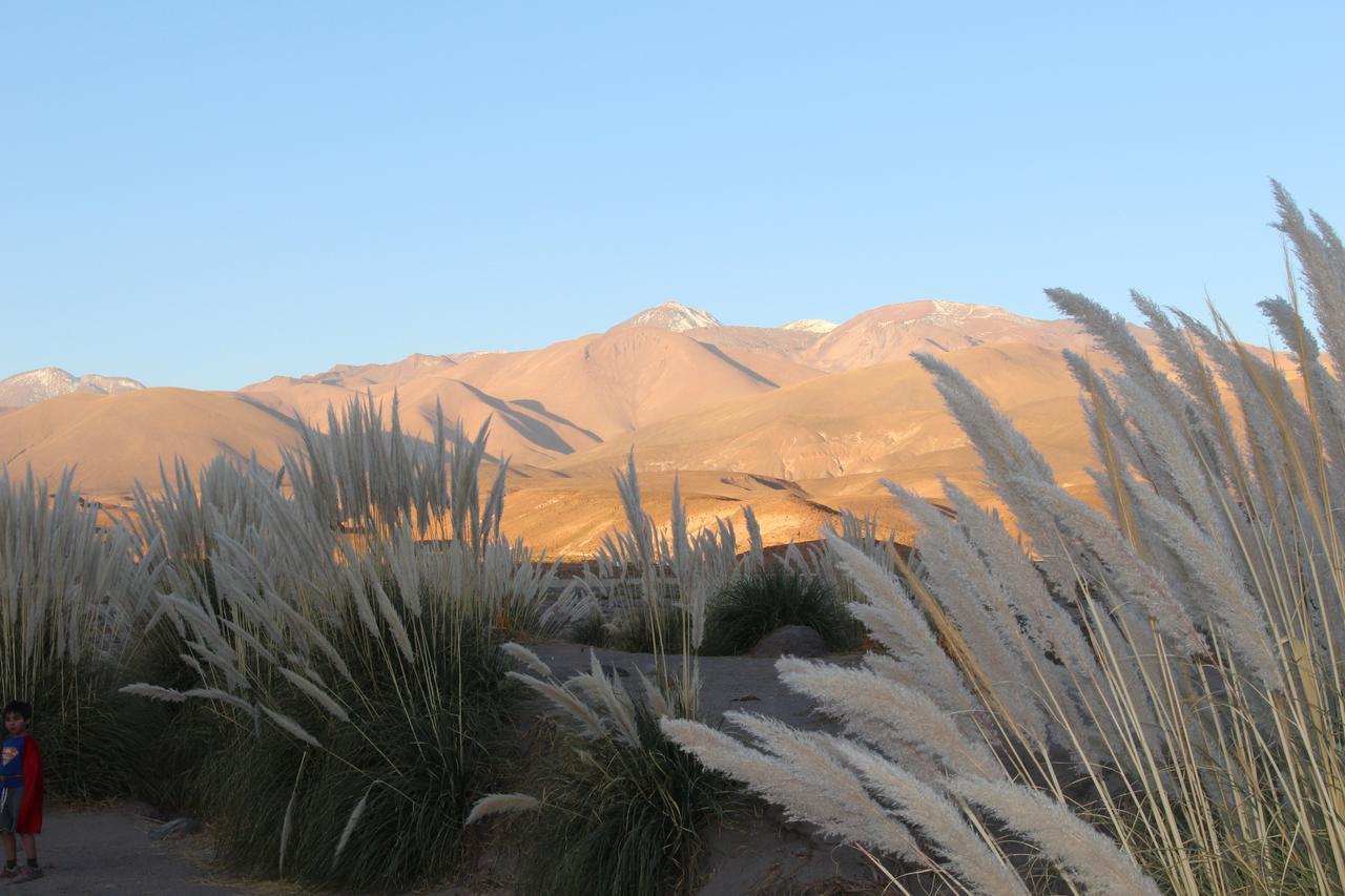 Cabana Nachitor San Pedro de Atacama Dış mekan fotoğraf