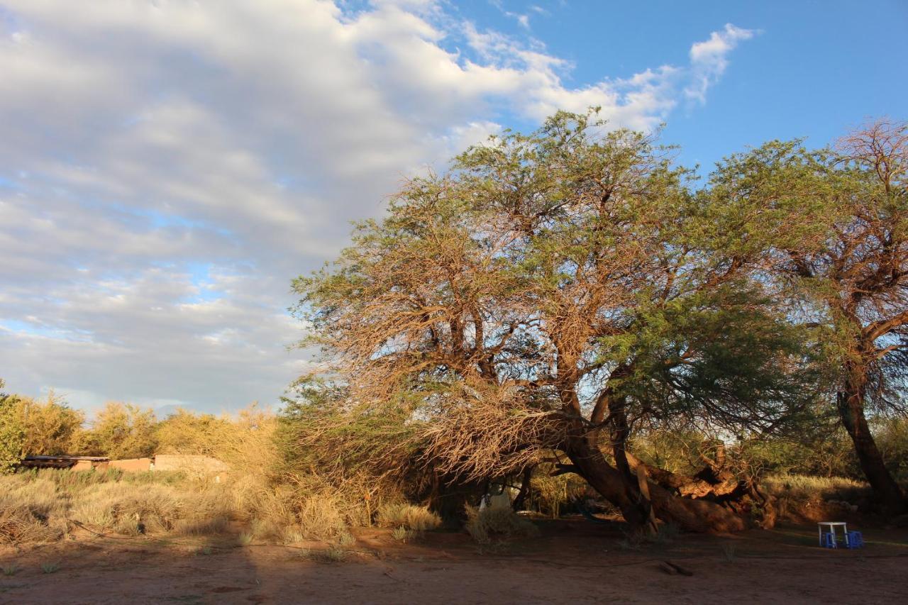 Cabana Nachitor San Pedro de Atacama Dış mekan fotoğraf